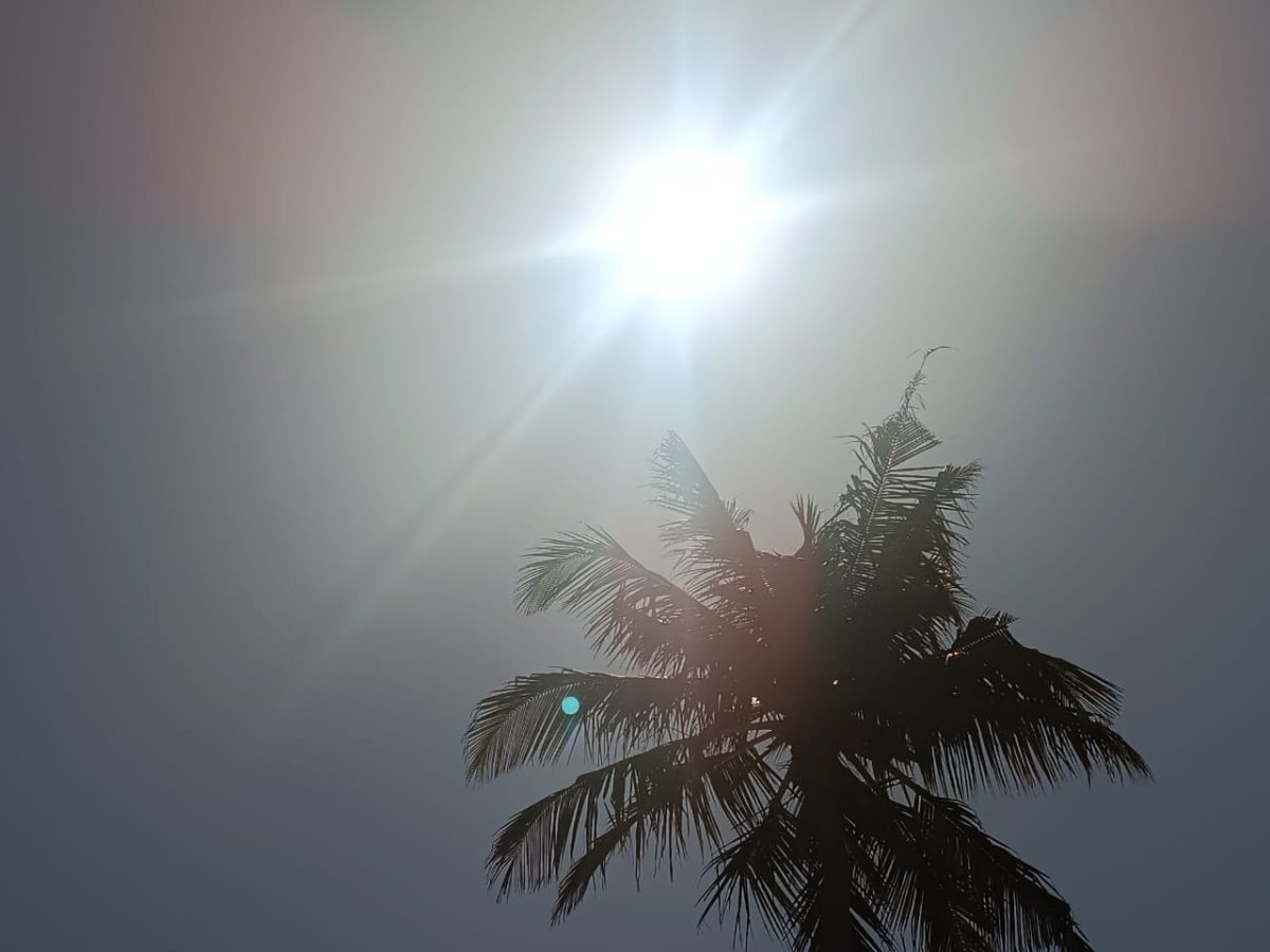 Calor extremo atinge a zona Sul amanhã, com máximas de até 39ºC